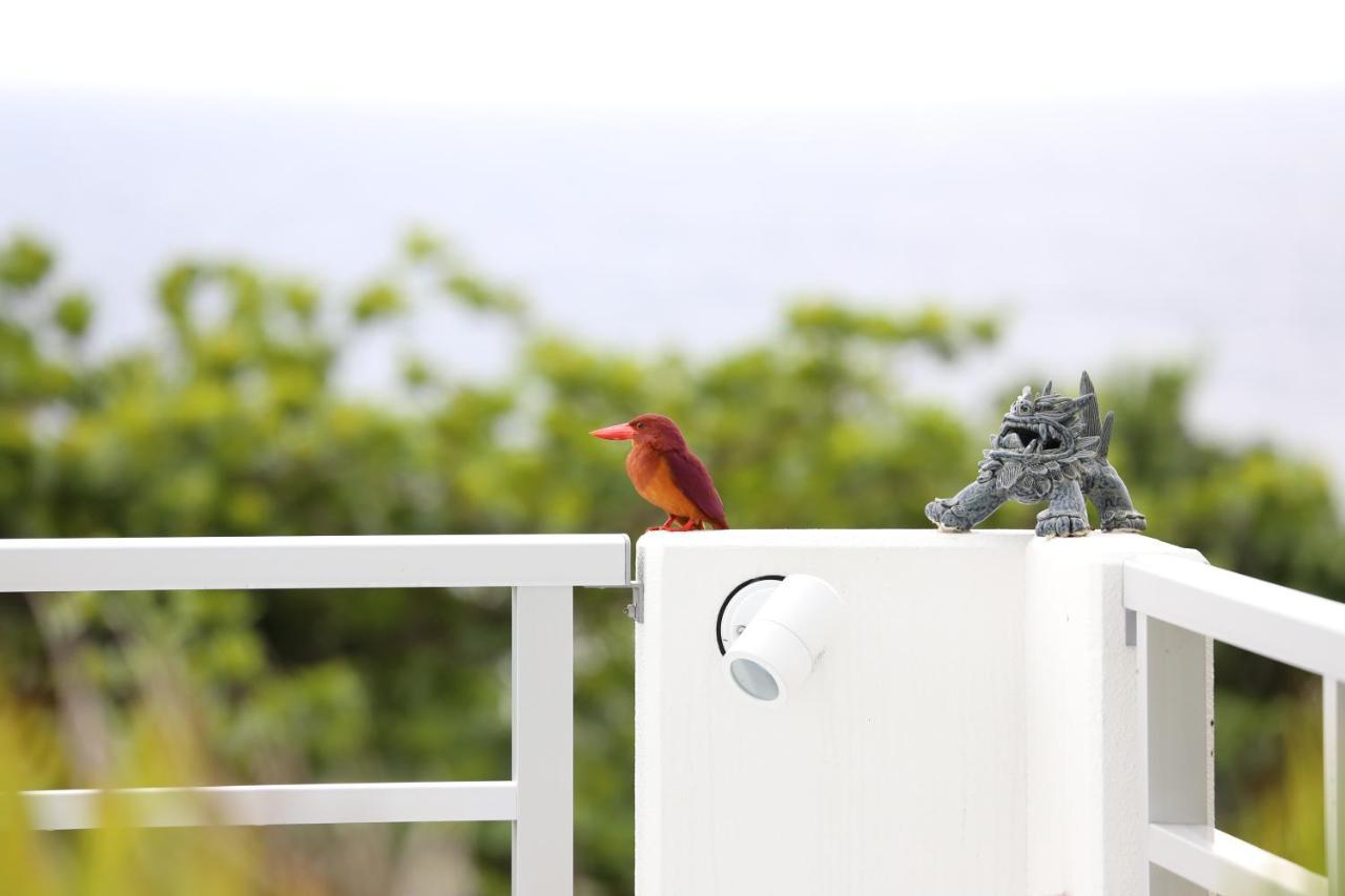Blue Ocean Resort Ishigaki  Bagian luar foto
