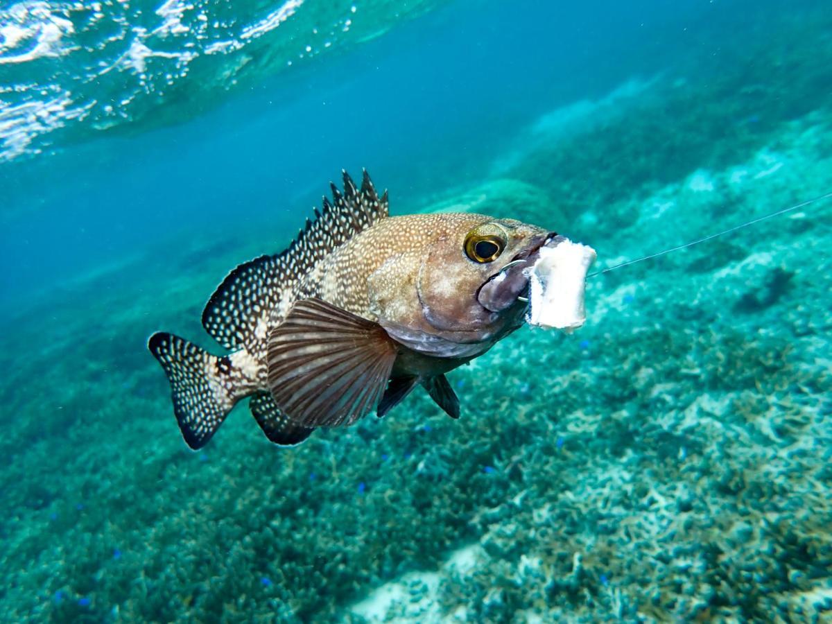 Blue Ocean Resort Ishigaki  Bagian luar foto